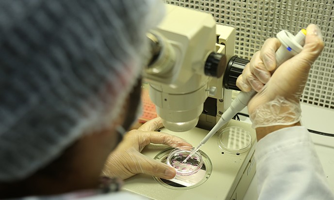 Instituto Butantan pesquisa vacinas contra vírus Influenza H7N9