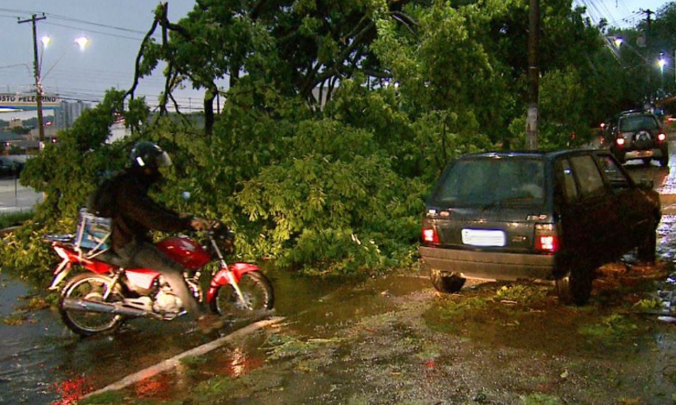 Chuva e ventos de 70km/h causam estragos em Ribeirão e região