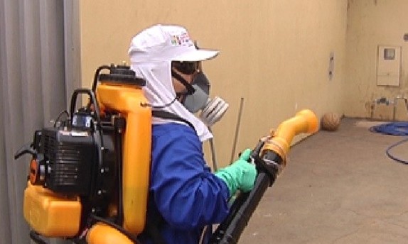Soluções caseiras não são eficientes no combate ao mosquito aedes aegypti