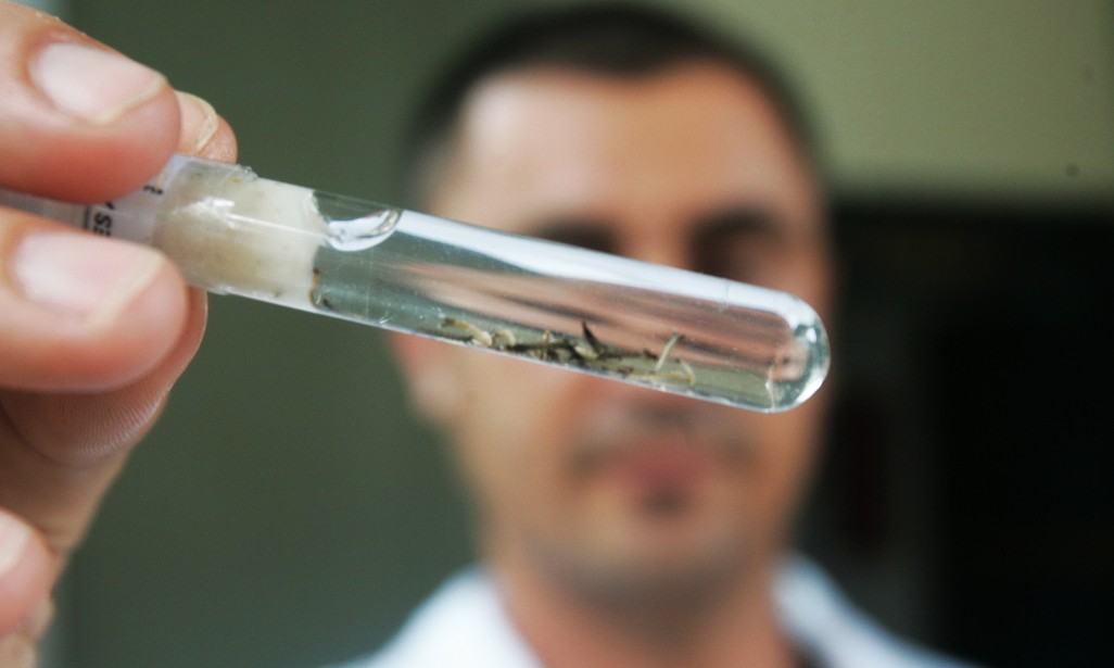 Franca registra mais de 2,3 mil suspeitas de dengue e 200 casos já confirmados