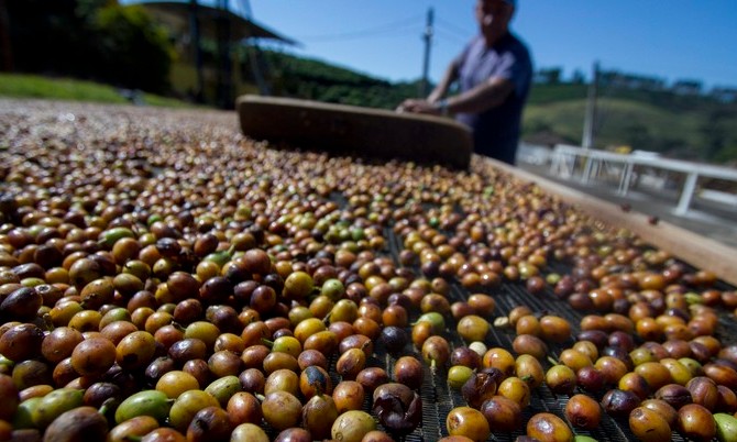 Exportação de café do Brasil dispara e tem recorde para janeiro, com alta de 20,3%