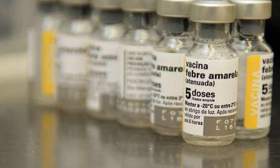 Doador de sangue deve tomar vacinar contra febre amarela após a doação