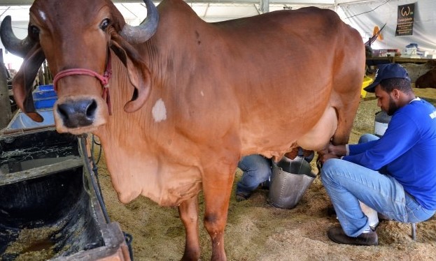 Propostas da parte técnica da Expoagro devem ser feitas até às 16h