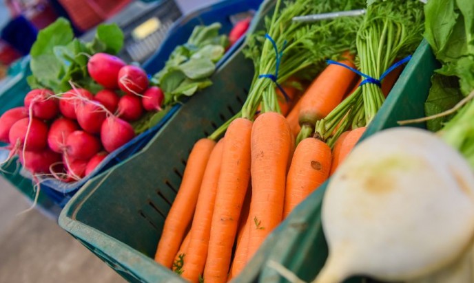 Unesp inscreve para curso gratuito à distância de Segurança Alimentar