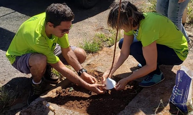 Projeto Verdejar Franca fará plantio de árvores nos bairros Aeroporto I e II