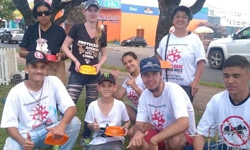 Voluntárias criam projeto para ajudar na adoção de animais de rua em Franca