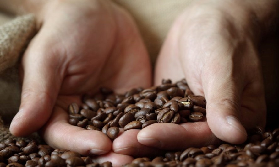 Substâncias do café podem inibir avanço do câncer de próstata