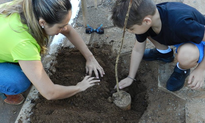 Jd. Aeroporto I e II: Verdejar recebe até esta sexta-feira, 15, pedidos de árvores