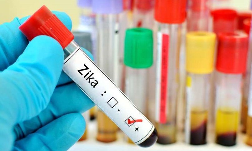 Vacina da febre amarela pode proteger contra o zika vírus, diz estudo