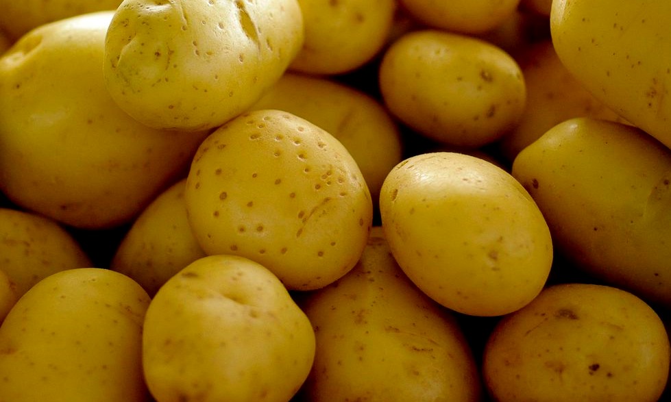 Batata inglesa pressiona inflação de Páscoa com alta de mais de 78%