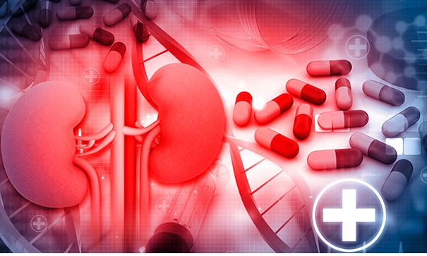 Saúde alerta para prevenção e diagnóstico precoce de doença renal