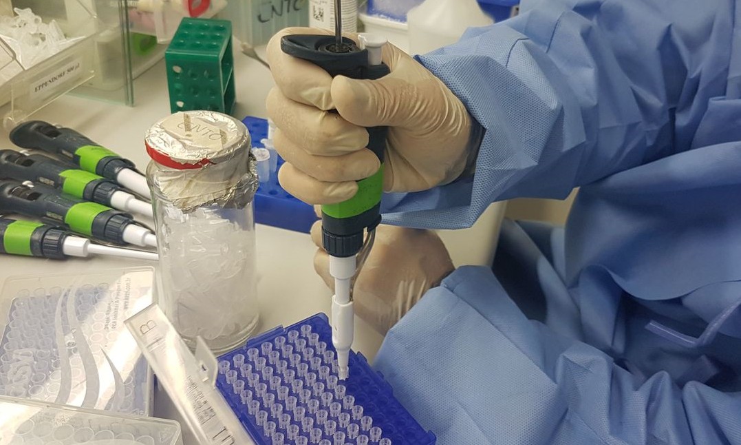 Fiocruz desenvolve teste barato para detectar Zica vírus em 20 minutos