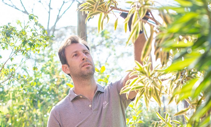 Outono: plantas necessitam de cuidados especiais além da irrigação, como adubação