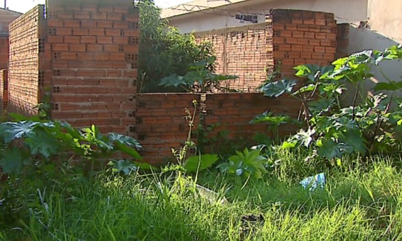 Mais de 120 proprietários de terrenos sujos são notificados em Franca