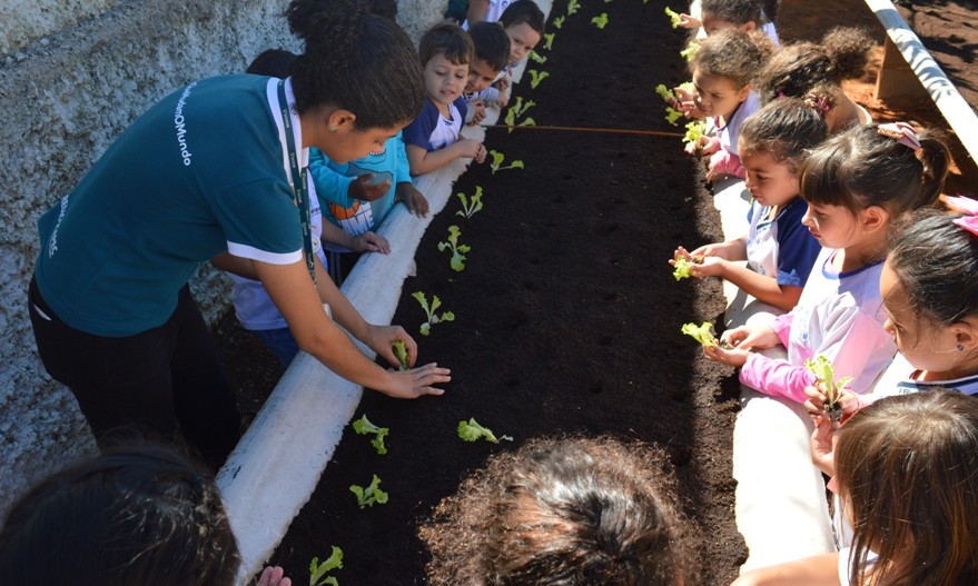 Escolas municipais de Franca têm horta com projeto Cadeia Sustentável