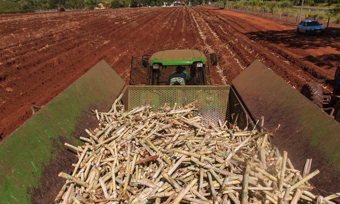 Usinas Batatais e Lins anunciam cisão a partir
de 1º de março de 2020