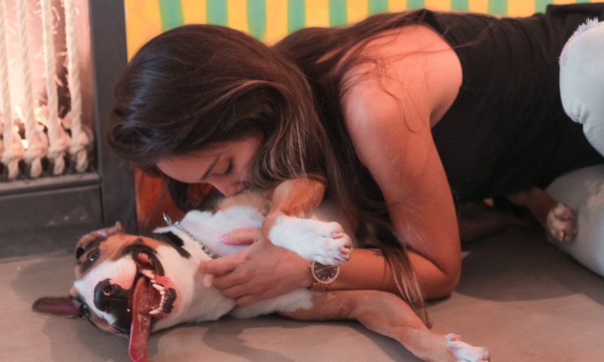 Para 6 em cada 10 pessoas
o cachorro é considerado filho, aponta pesquisa