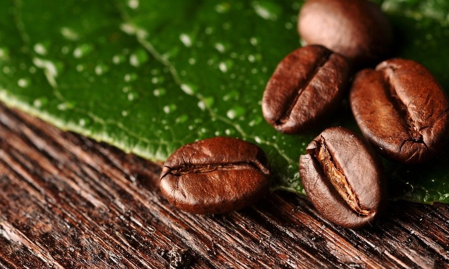 Capacitação em cafeicultura tem inscrições abertas até 30/06