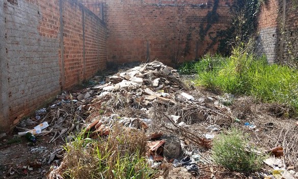 Donos de terrenos baldios em Franca são intimados a realizar limpeza
