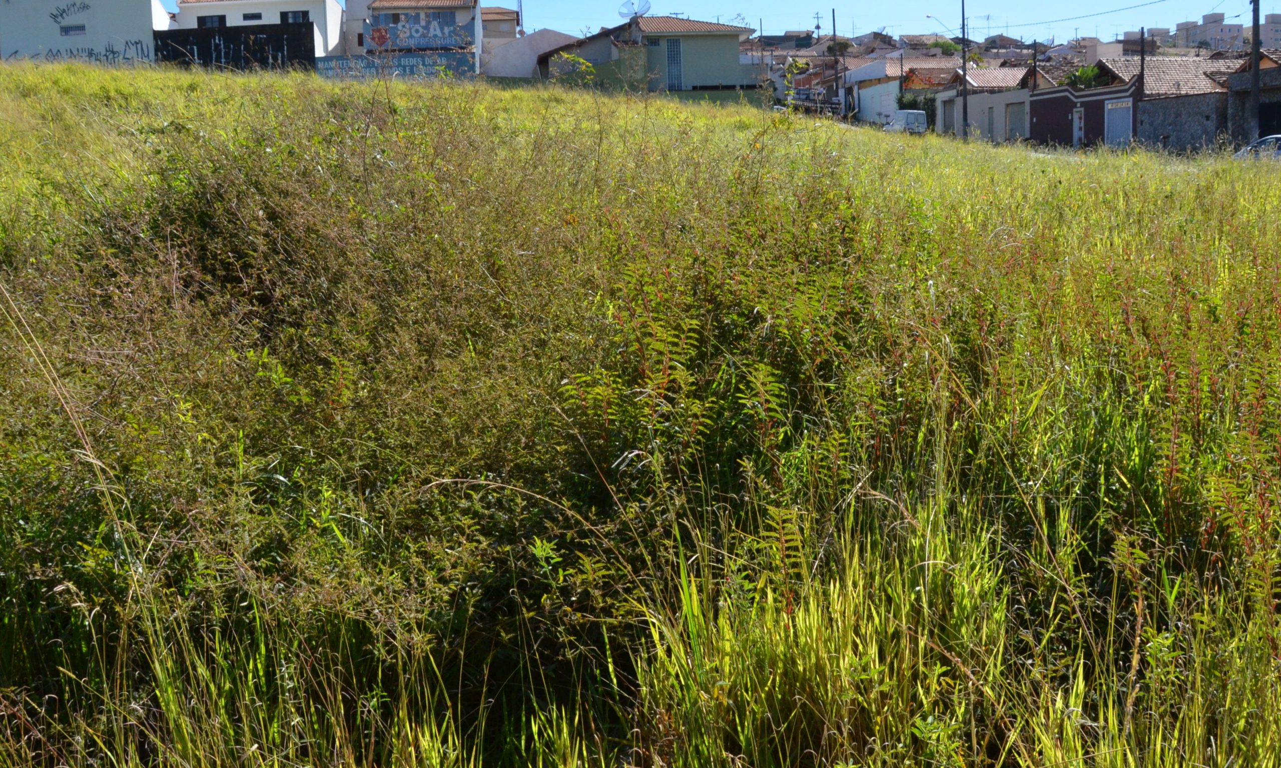 Prefeitura notifica donos de terrenos baldios para realização de limpeza