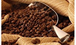 Preço do café tipo arábica tem elevação e chega a R$ 427,00 a saca de 60kg