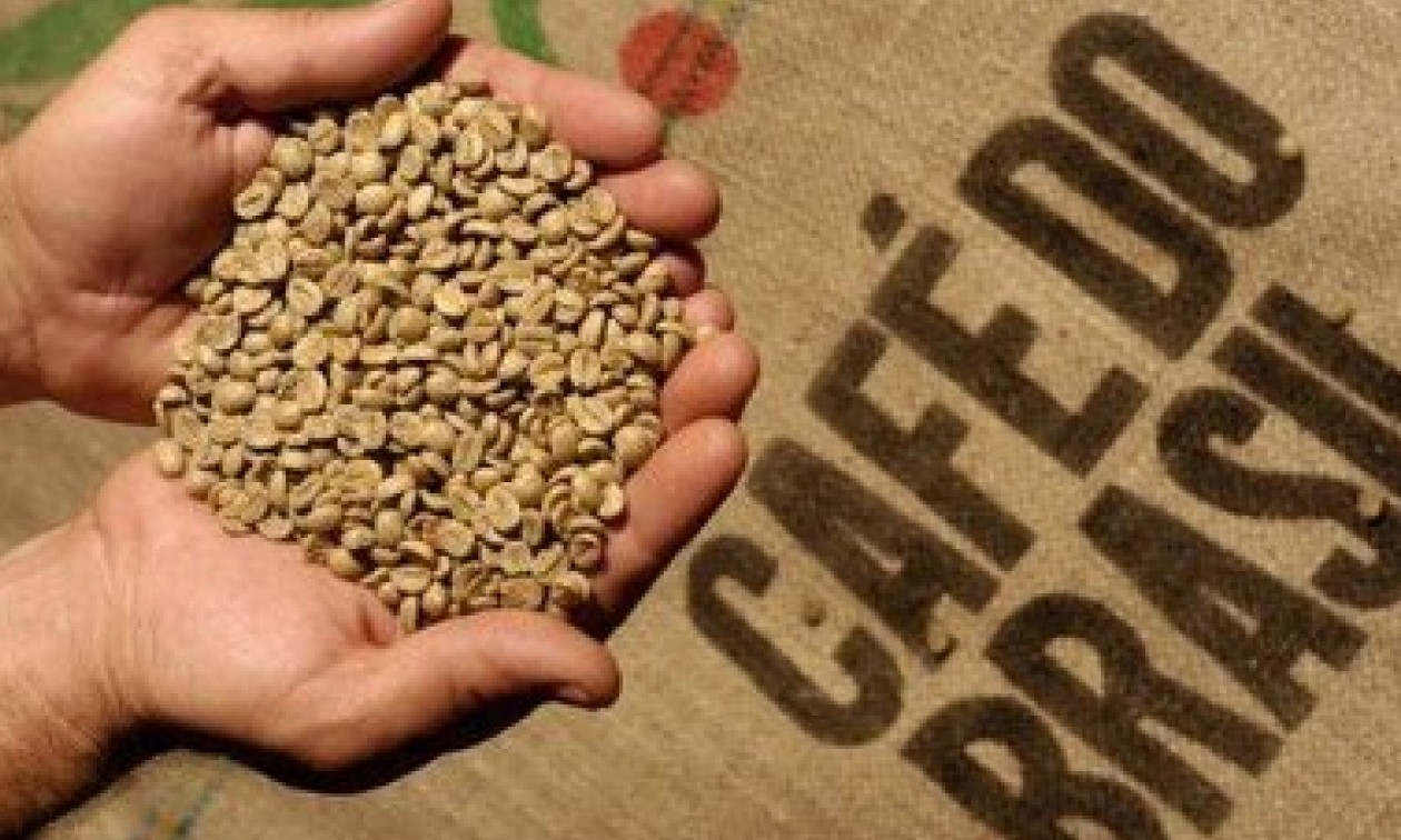 Café: Brasil bate recorde nas exportações do ano-safra 2018/2019, segundo Cecafé