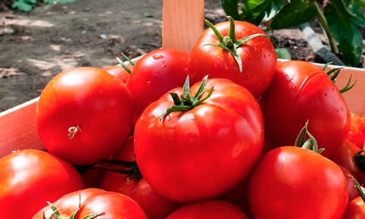 Frio impacta na produção de alguns hortifrutis e preços podem aumentar em breve