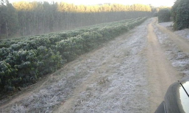 Domingo, 07, começa com 4°C e tem geada ao amanhecer em Franca