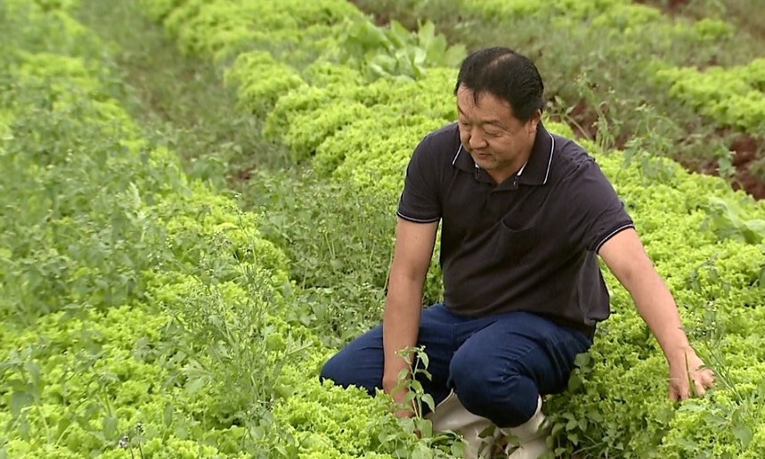 Agricultores tentam evitar prejuízos durante geada na região de Ribeirão Preto