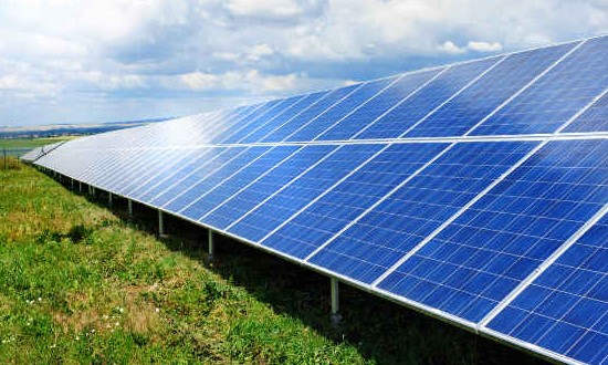 Premix tenta agregar valor ambiental fabricando ração com energia solar