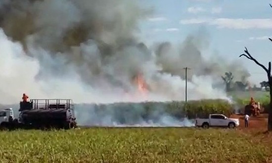 Morro Agudo lidera ranking de cidades com mais incêndios em SP