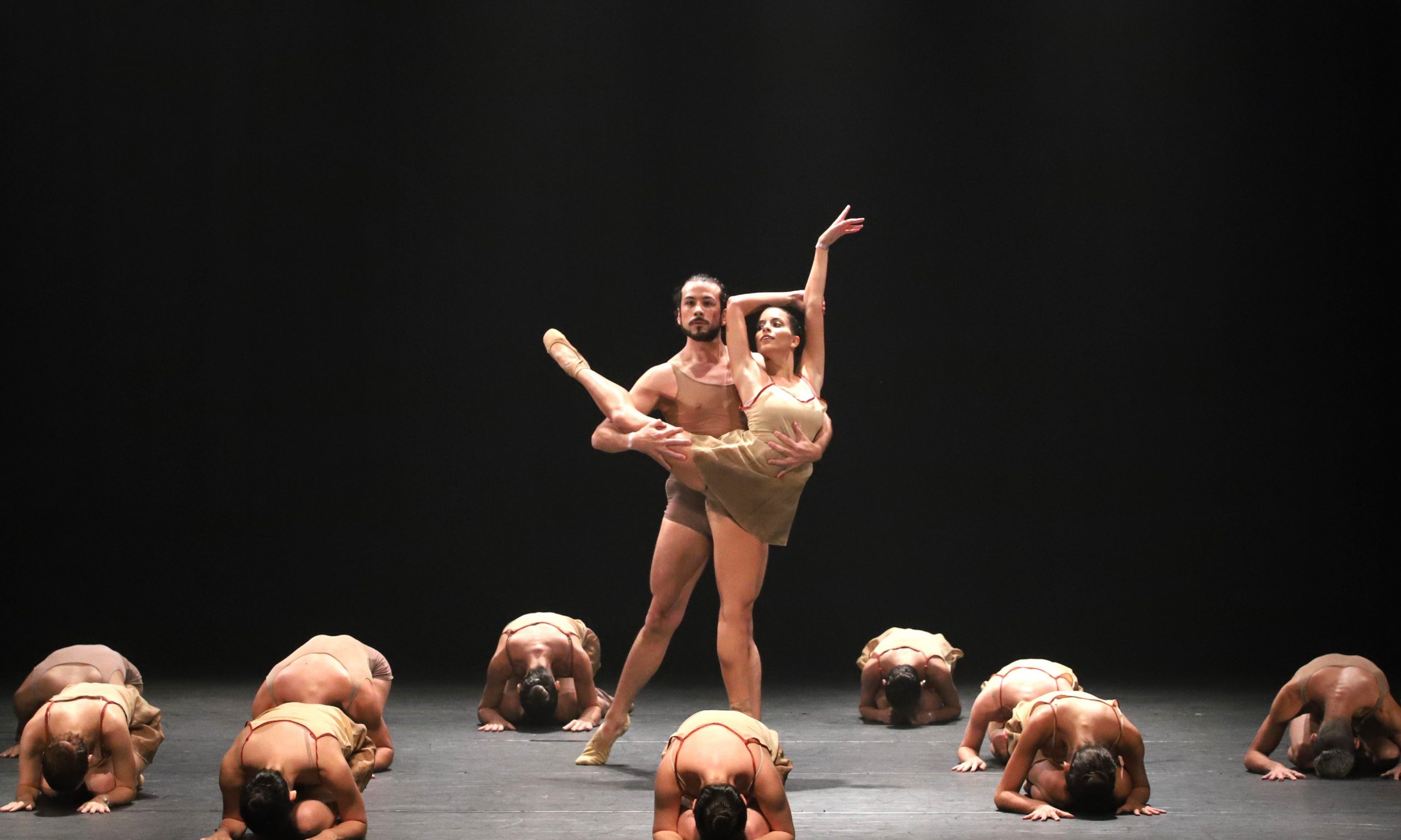 Bailarinos de Ribeirão Preto participarão da mostra do Festival de Joinville