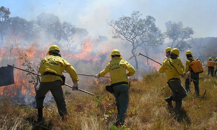 IBAMA anuncia que vai contratar mais de 1.300 Brigadistas no PREVFOGO
