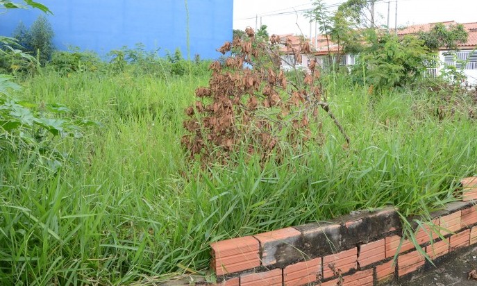 Prefeitura identifica mais de 100 terrenos sujos e intima proprietários para limpeza