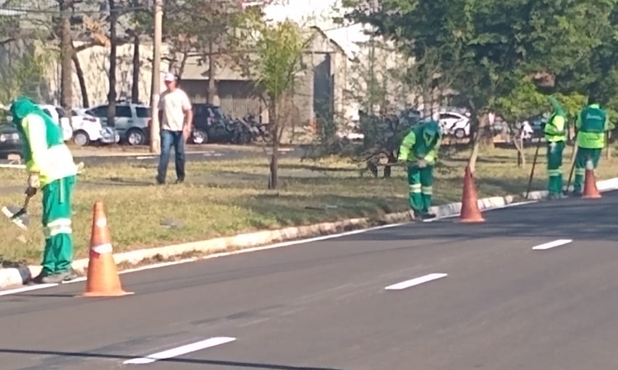 Canteiros de avenidas: para melhorar visual, Prefeitura intensifica manutenção