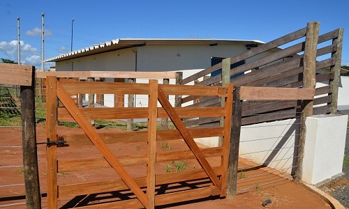 Após assalto, Canil Municipal terá reforço com muros e câmeras