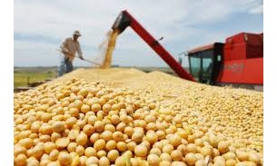 Mudança climática ameaça produção de alimentos, alerta relatório da ONU
