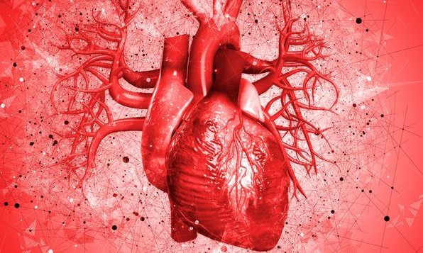 Ataque cardíaco: Entenda o que é o infarto e quais são os seus sintomas