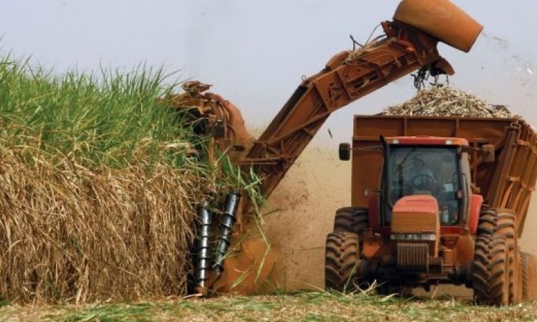 Valor da produção agrícola nacional cresce 8,3% e tem recorde de R$ 343,5 bilhões