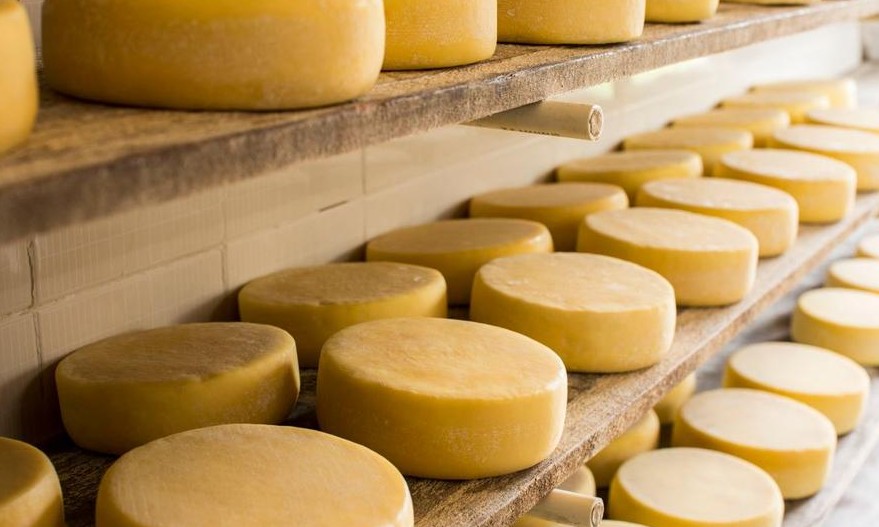 Queijo da Canastra é a grande atração de festival em Passos (MG)