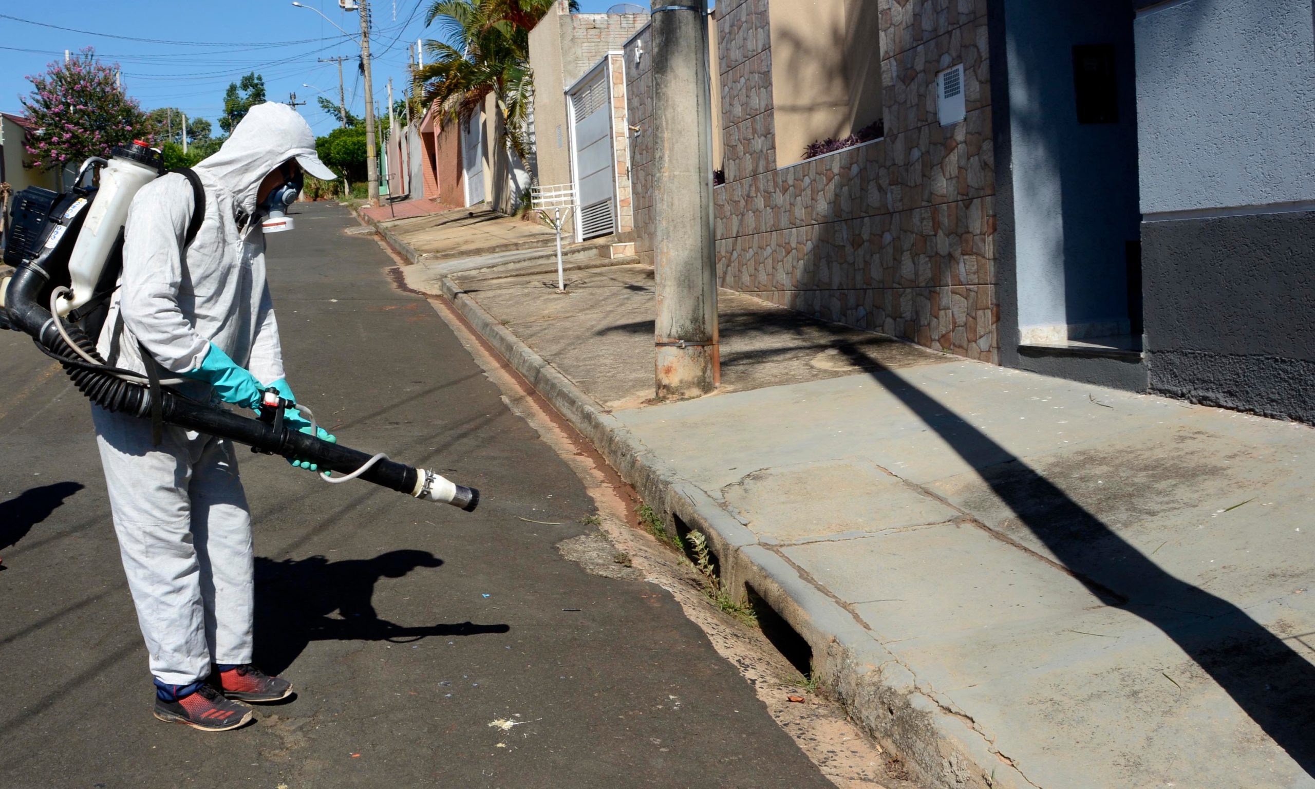 Avanço da dengue preocupa autoridades e nova campanha é lançada no país
