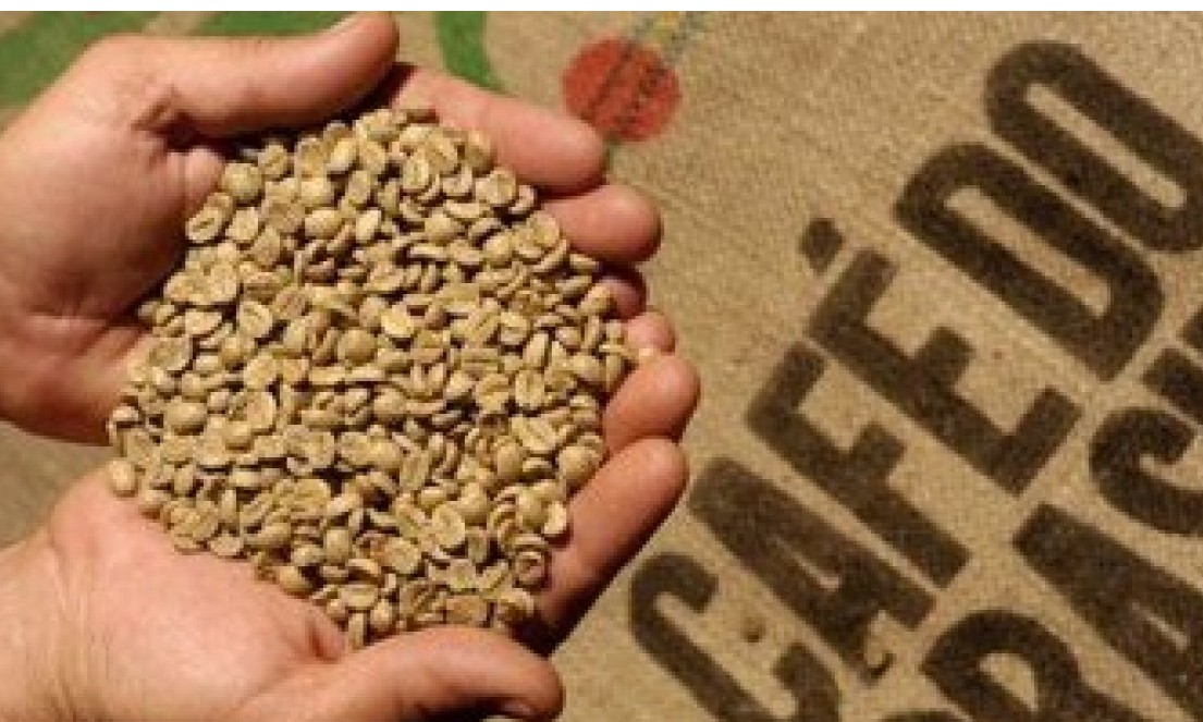 Café: Exportação mundial sobe 9,5% em julho e vai a 11,34 milhões de sacas