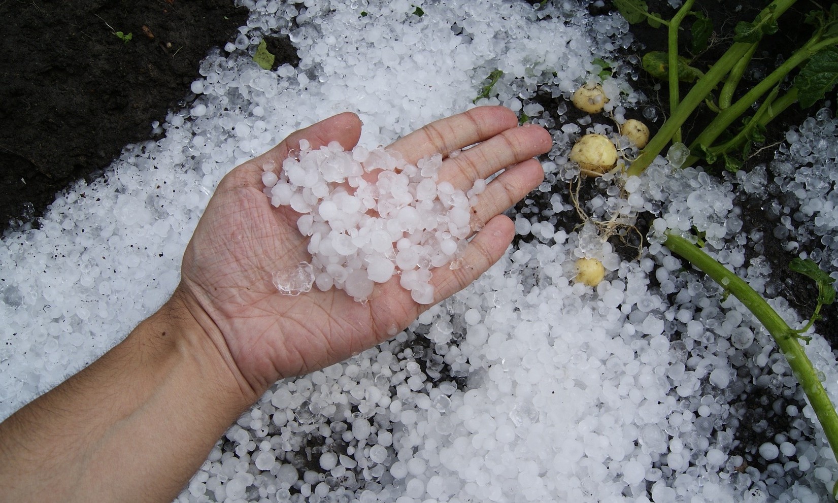 Brasil tem alerta de chuva volumosa e granizo para esta quarta-feira, dia 25