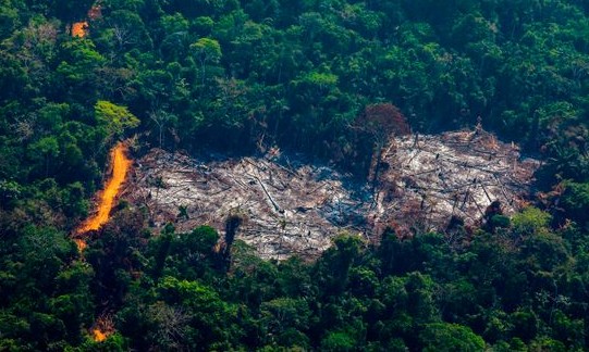 Cientistas alertam para o perigo de incêndios mais intensos na Amazônia