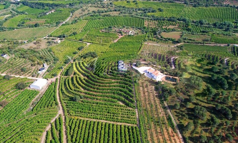 Câmara acaba com prazo de inscrição obrigatória no Cadastro Ambiental Rural