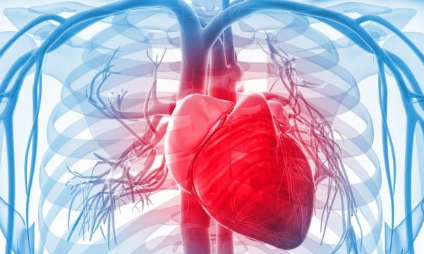 Prevenção cardiovascular: maior programa do mundo
será no interior paulista