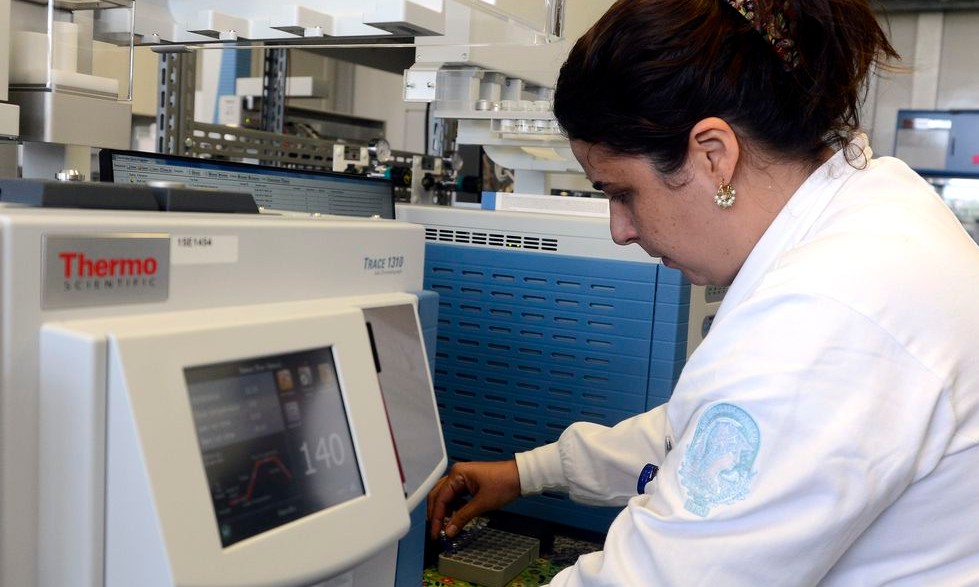 Capes anuncia corte de 5.613 bolsas de pós-graduação para este ano