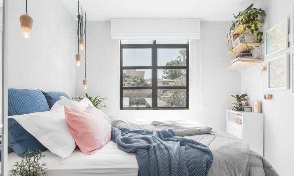 Leve ar puro para dentro de casa ao cultivar estas plantas no seu quarto