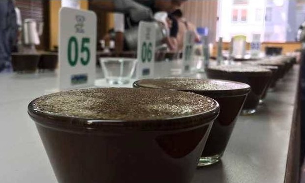 Brasil conhecerá seus melhores cafés especiais neste sábado, 19 de outubro