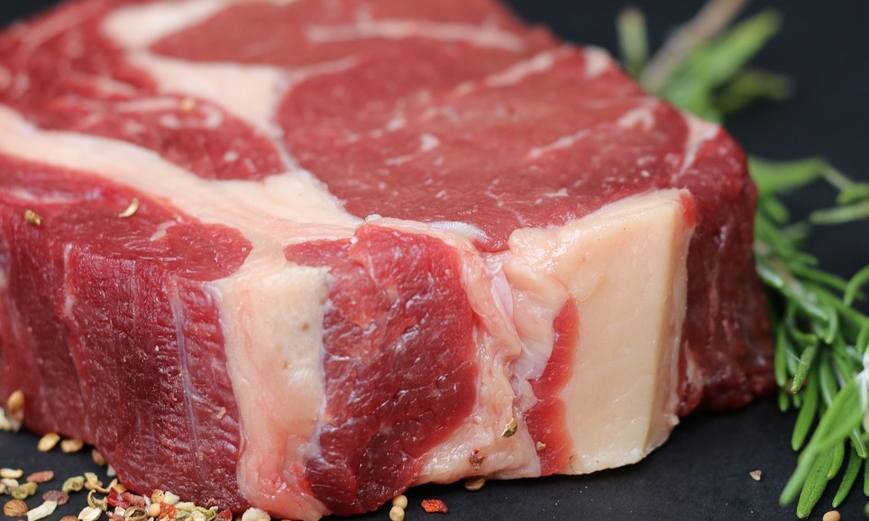Consumo de proteínas e aminoácidos pode contribuir com a longevidade